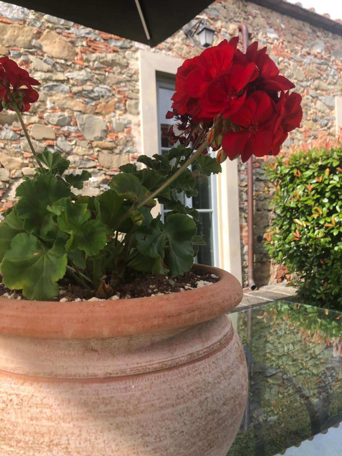 Tenuta Guinigi Antico Borgo Di Matraia - Exclusive Holidays Apartments & Pool Lucca Exterior photo